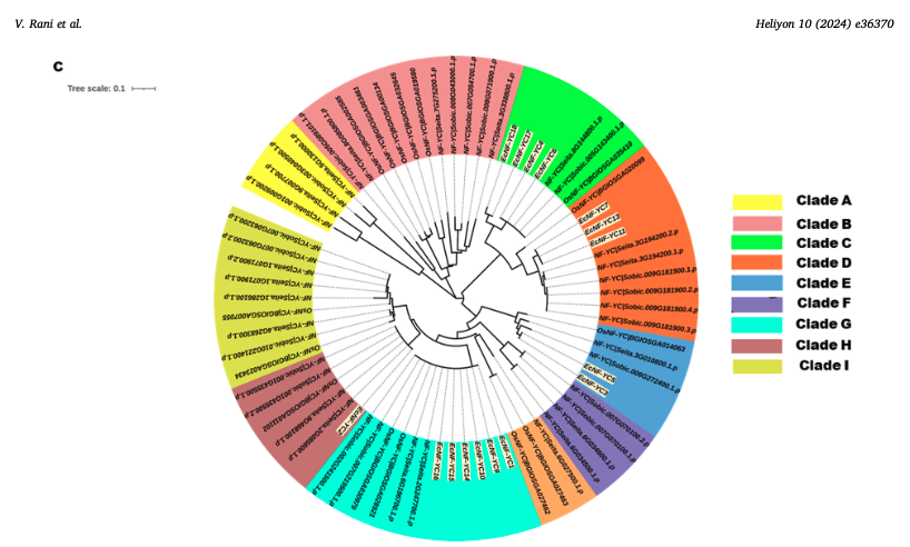 Transcription Factors Family in Finger Millet