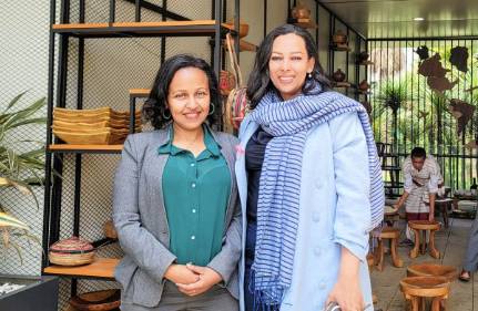 Amaranth Institute members's work in Ethiopia
